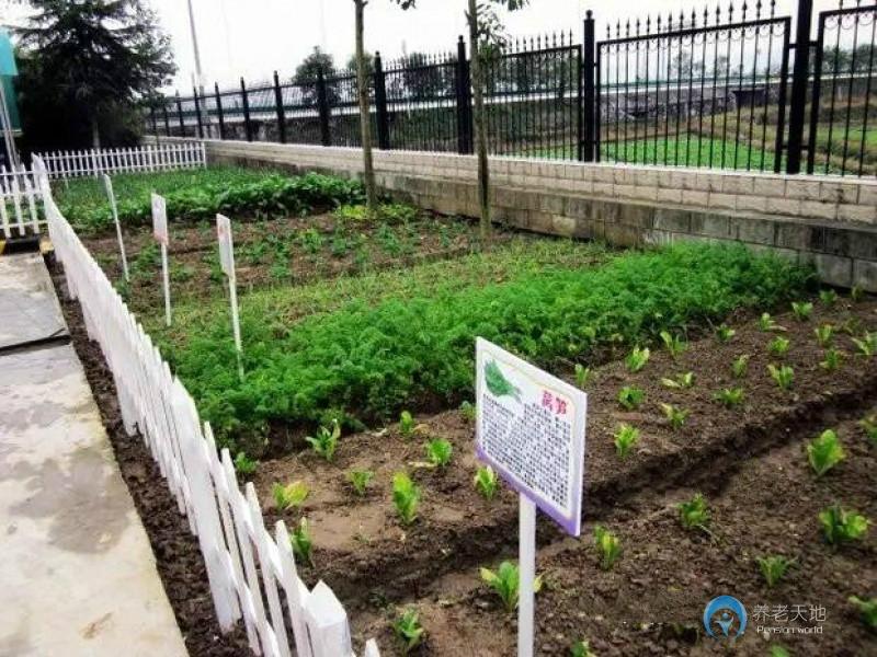 蘭陵鎮(zhèn)頤康老年公寓 蘭陵鎮(zhèn)頤康老年公寓