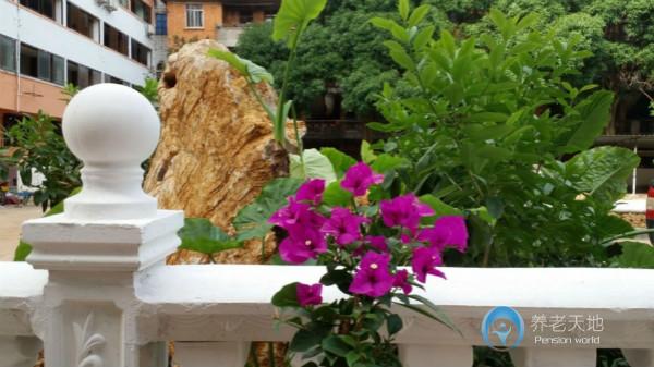 貴港市港北區(qū)西江頤養(yǎng)院 貴港市港北區(qū)西江頤養(yǎng)院