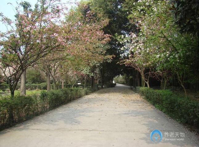 南寧市關(guān)愛養(yǎng)老院 南寧市關(guān)愛養(yǎng)老院