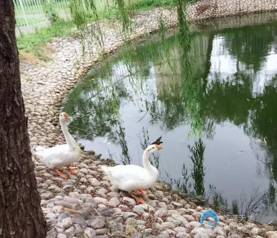 上海金福居養(yǎng)老院 上海金福居養(yǎng)老院