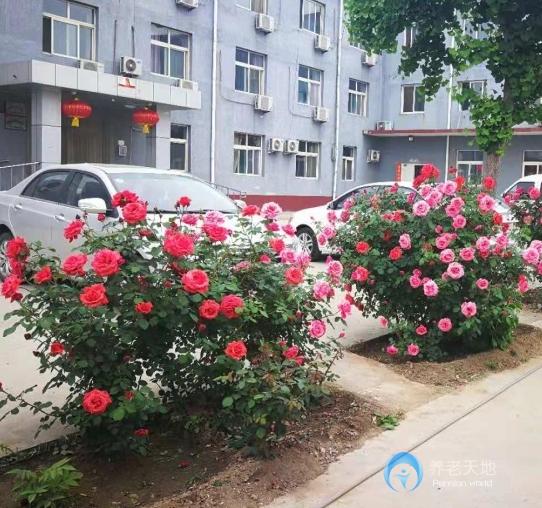 北京市順義區(qū)六福全營養(yǎng)老服務中心 北京市順義區(qū)六福全營養(yǎng)老服務中心