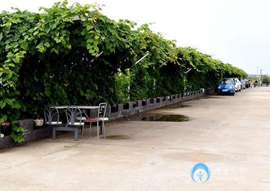 沈陽(yáng)財(cái)湖陽(yáng)光養(yǎng)老院