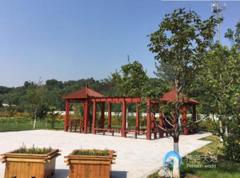 石家莊市老年養(yǎng)護(hù)院