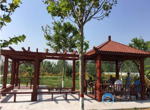 石家莊市老年養(yǎng)護(hù)院