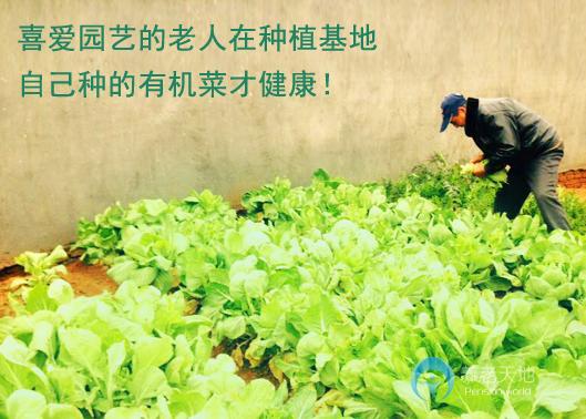 咸寧康易壽老年公寓 咸寧康易壽老年公寓