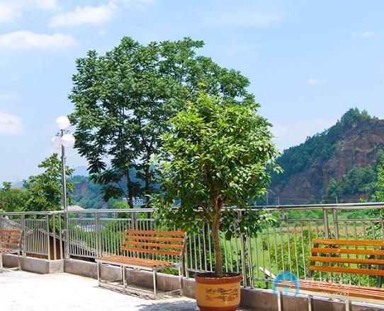 恩施市愛(ài)特佳養(yǎng)老院 恩施市愛(ài)特佳養(yǎng)老院