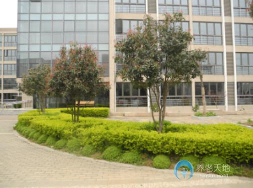 南京愛德仁谷養(yǎng)老院 南京愛德仁谷養(yǎng)老院