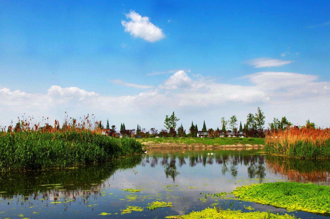 蜀國鵑都養(yǎng)老服務(wù)中心