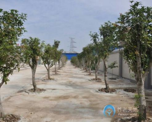 茂名市慈愛新華頤養(yǎng)院 茂名市慈愛新華頤養(yǎng)院