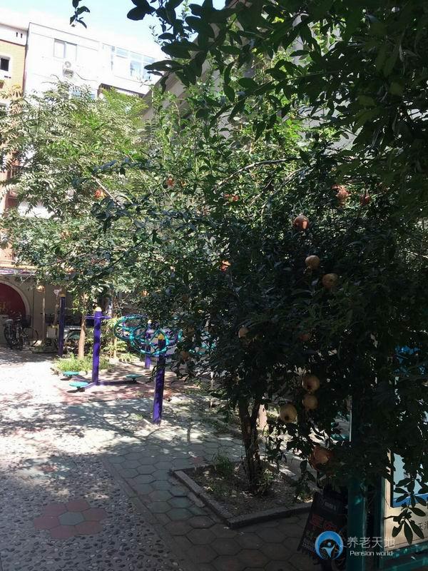 天津和平晟世老人院 天津和平晟世老人院