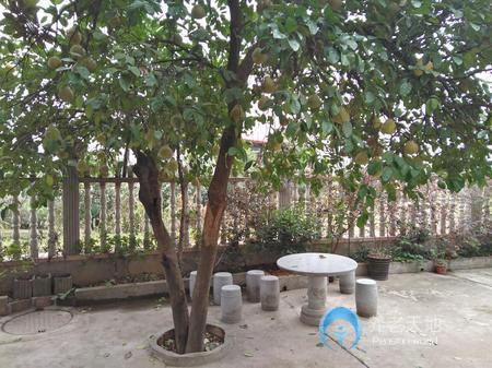 長沙縣浩民養(yǎng)老院 長沙縣浩民養(yǎng)老院