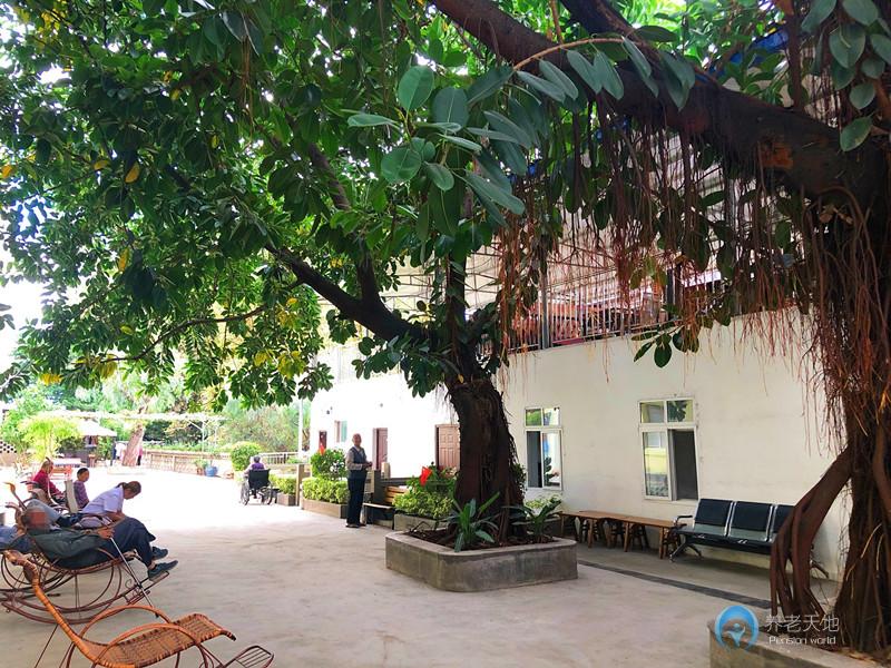 攀枝花市康馨養(yǎng)護(hù)院 攀枝花市康馨養(yǎng)護(hù)院