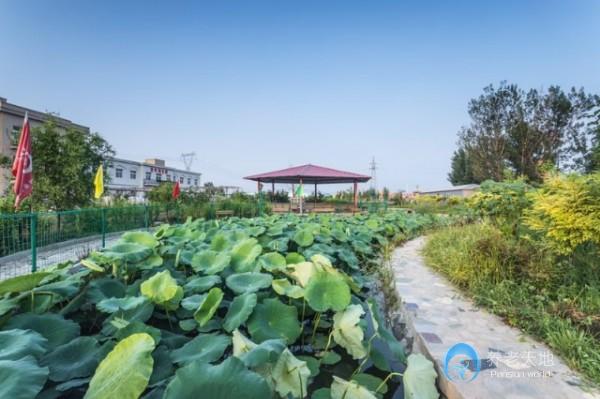 天津市西青區(qū)為善園養(yǎng)老院 天津市西青區(qū)為善園養(yǎng)老院