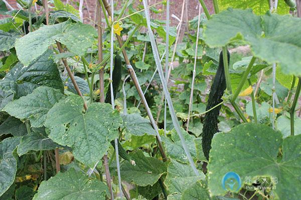 天津市西青區(qū)為善園養(yǎng)老院 天津市西青區(qū)為善園養(yǎng)老院