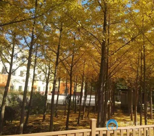 北京市海淀區(qū)愛達頤德老年公寓 北京市海淀區(qū)愛達頤德老年公寓