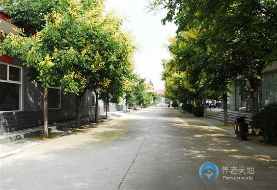 西安西咸新區(qū)灃東新城福灣生態(tài)護養(yǎng)中心 西安西咸新區(qū)灃東新城福灣生態(tài)護養(yǎng)中心