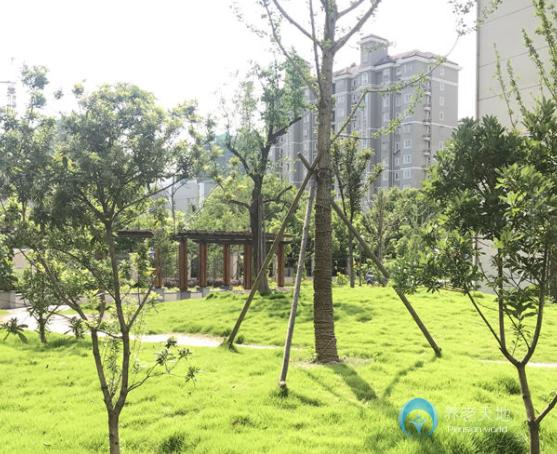 上海金色晚霞護理院 上海金色晚霞護理院