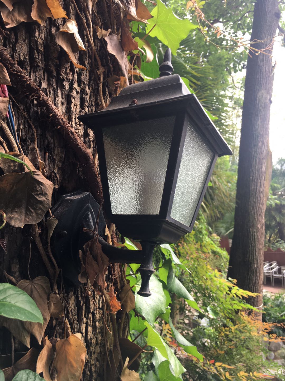 云南銀鷹溫泉酒店 云南銀鷹溫泉酒店