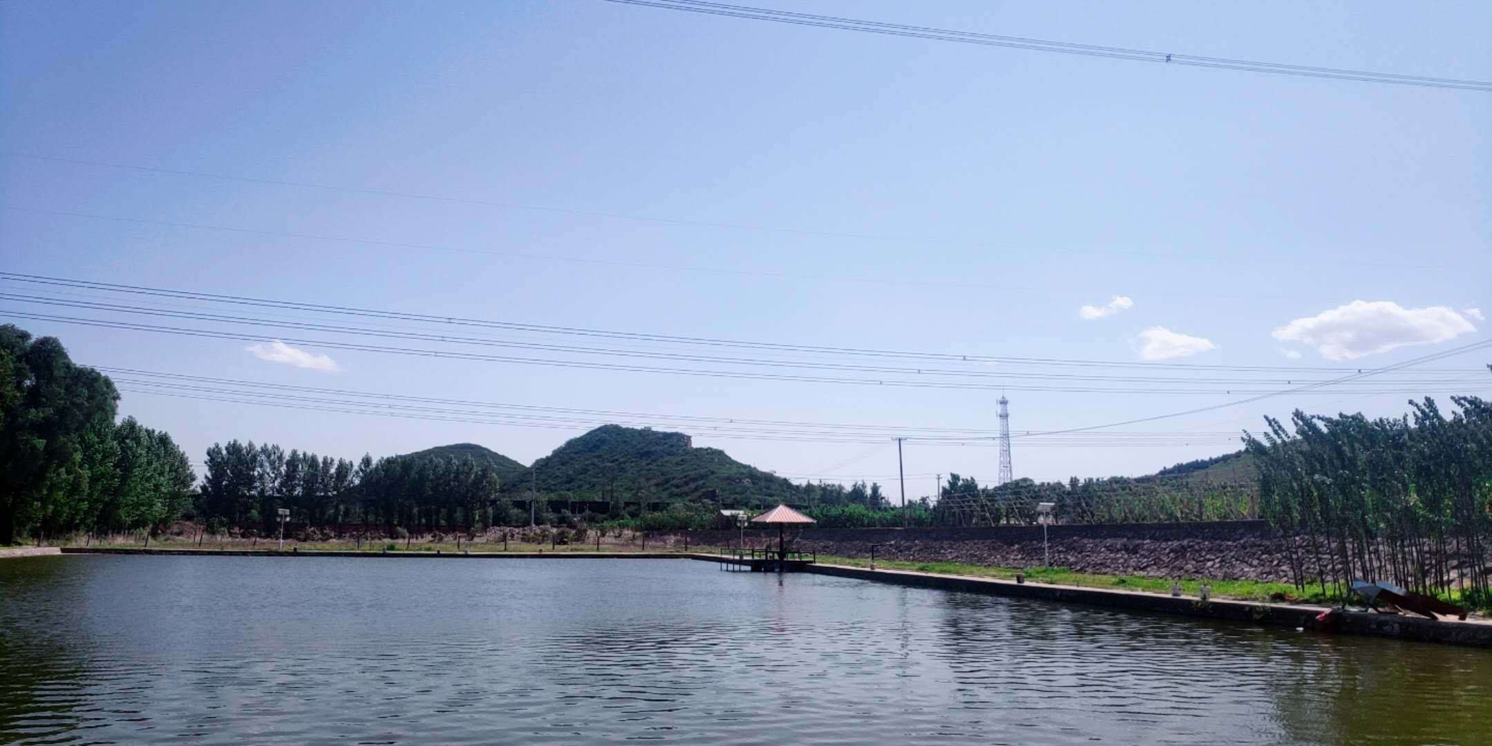 久福養(yǎng)老 久福養(yǎng)老