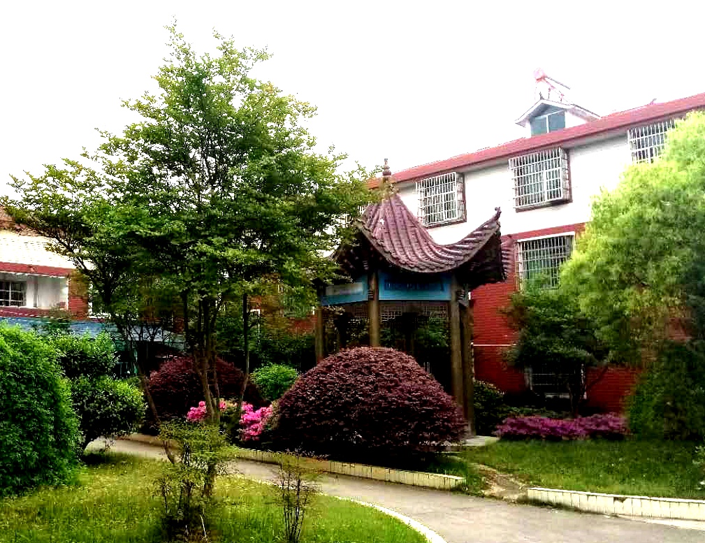 崇陽養(yǎng)老護理中心 崇陽養(yǎng)老護理中心