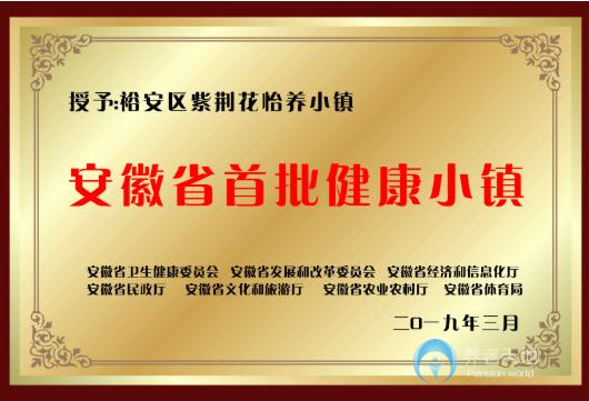 安徽六安紫荊花怡養(yǎng)小鎮(zhèn) 安徽六安紫荊花怡養(yǎng)小鎮(zhèn)
