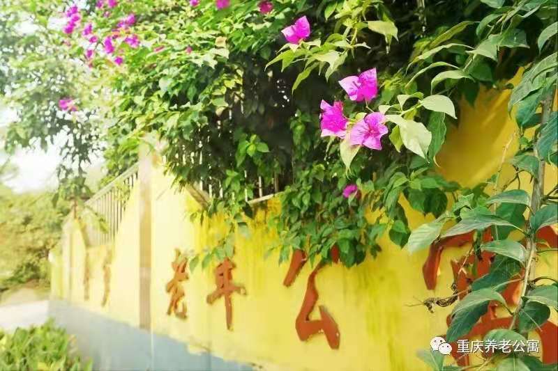 重慶市沙坪壩區(qū)金歲山莊老年公寓 重慶市沙坪壩區(qū)金歲山莊老年公寓