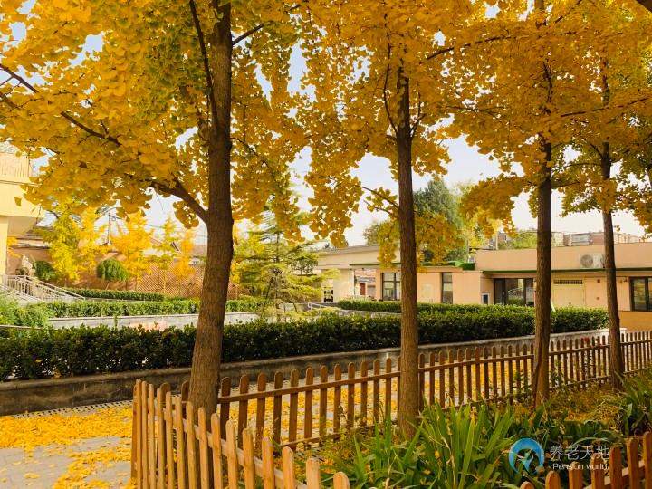 北京市普親長辛店老年養(yǎng)護(hù)中心