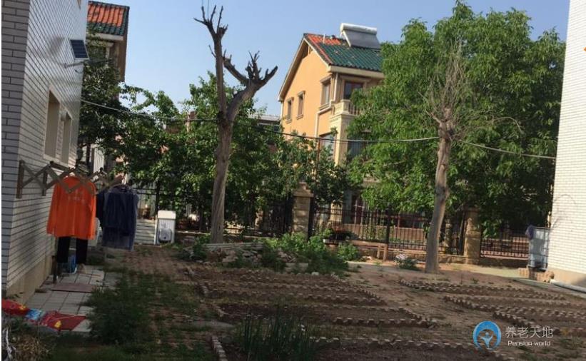 天津陶樂養(yǎng)老院（西青分院）