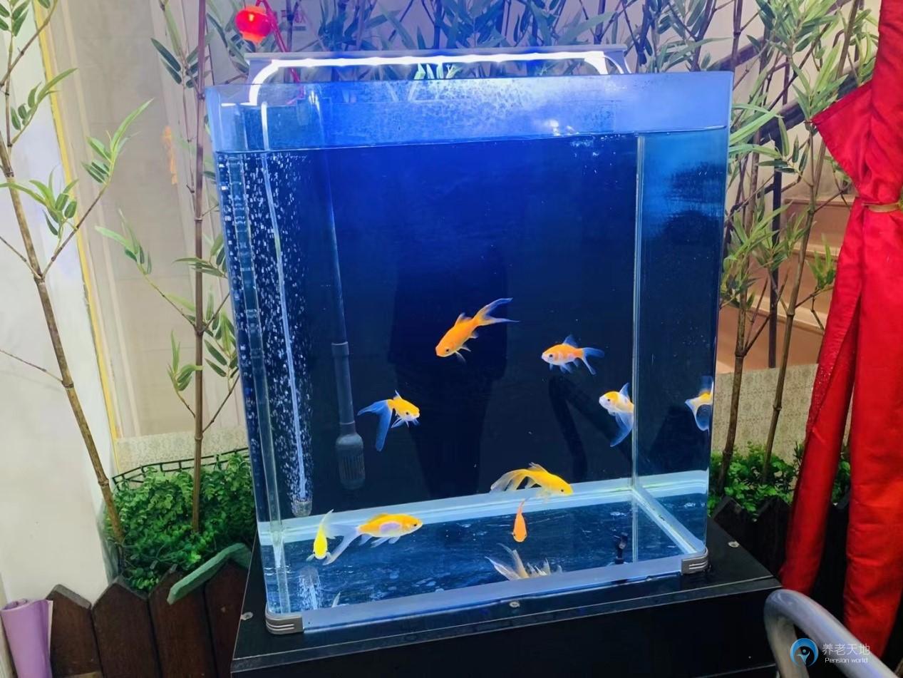 天津市和平區(qū)龍福宮老人院 天津市和平區(qū)龍福宮老人院