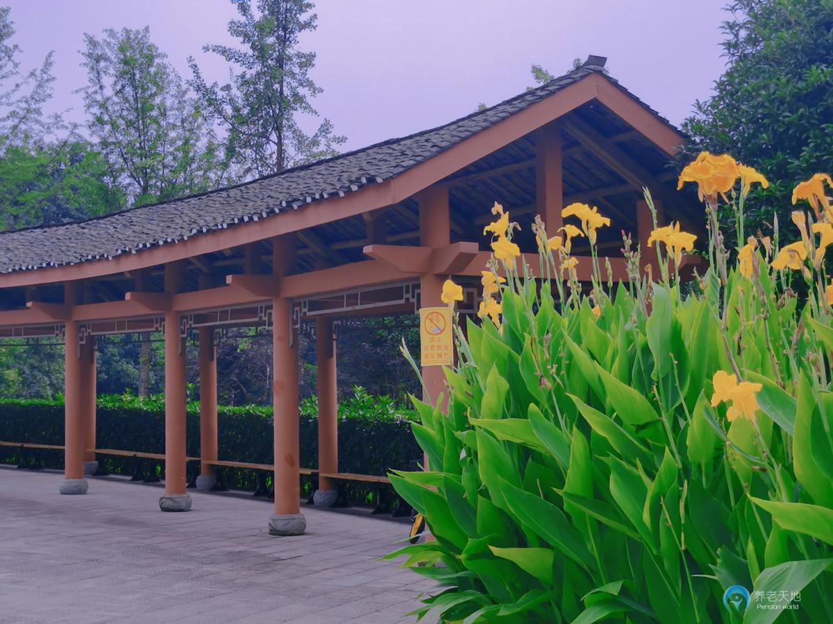 重慶兩江新區(qū)楠苑康復(fù)護(hù)理院