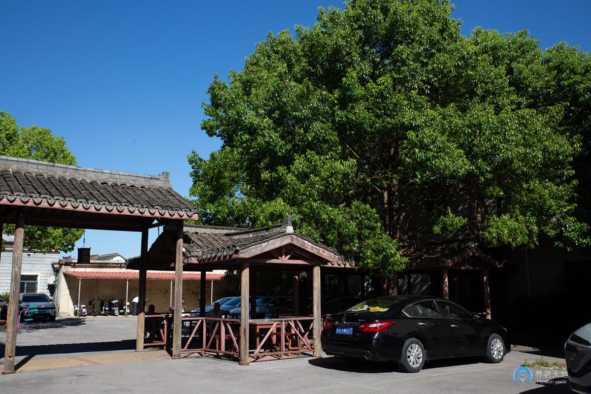 上海洪天護理院