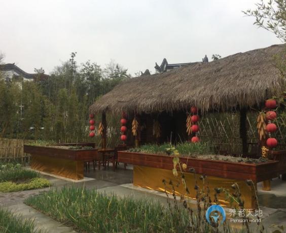 泰康之家·蜀園