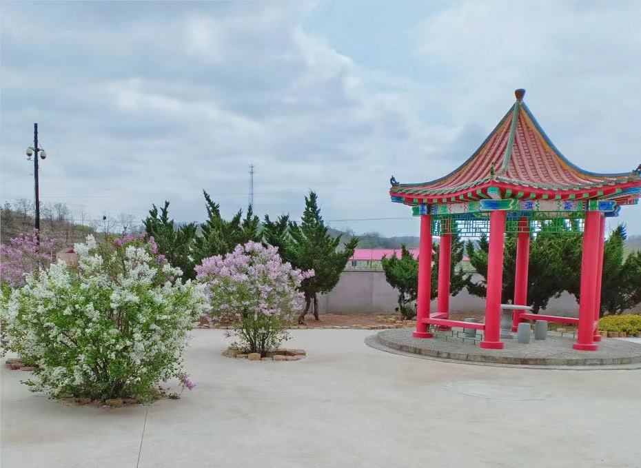 大連圣康老年公寓 大連圣康老年公寓