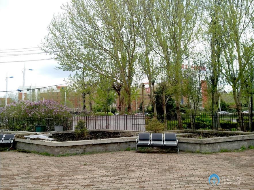 哈爾濱康悅護(hù)養(yǎng)院 哈爾濱康悅護(hù)養(yǎng)院