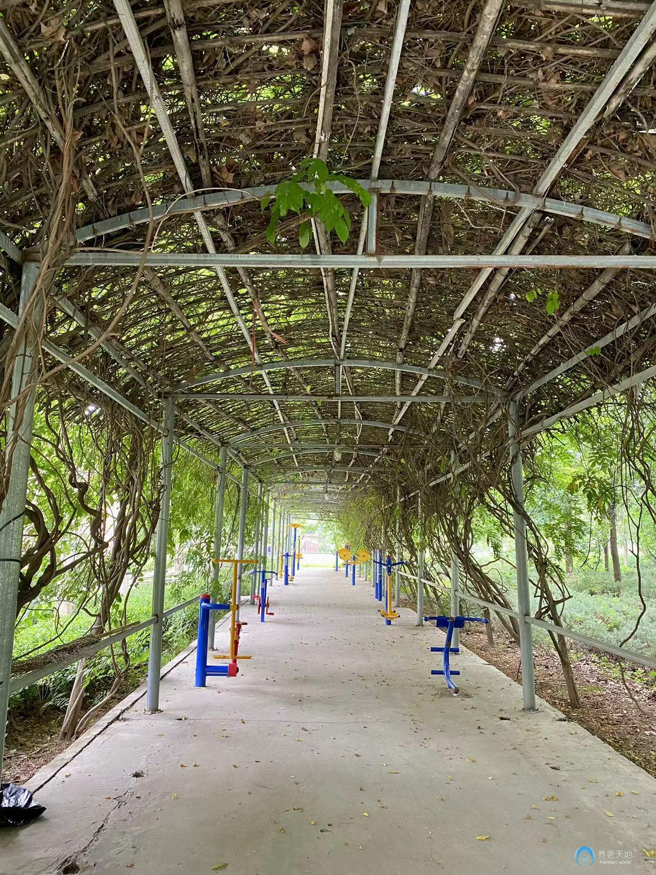 北京君和養(yǎng)老朝陽分院(主要接收精神疾病老人) 北京君和養(yǎng)老朝陽分院(主要接收精神疾病老人)