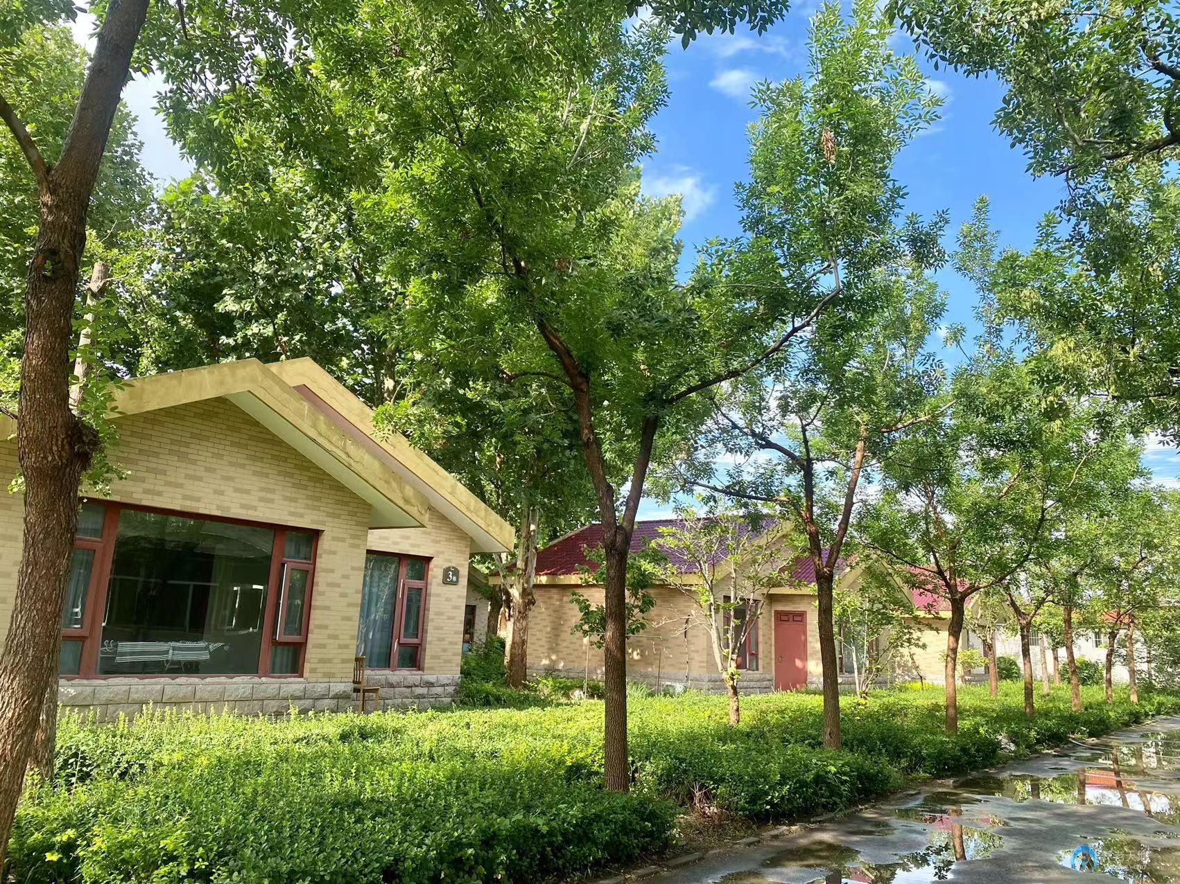 北京君和養(yǎng)老朝陽分院(主要接收精神疾病老人) 北京君和養(yǎng)老朝陽分院(主要接收精神疾病老人)