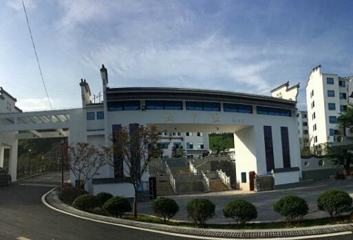 1512612025549057572.jpg 7.jpg