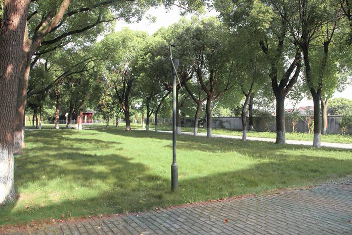 1512617239417066258.jpg 2017092719094.jpg