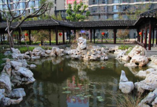 1512623612271081962.jpg 6.jpg