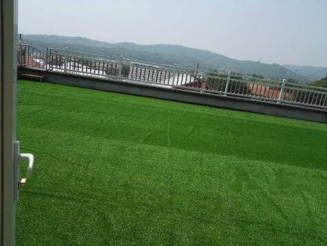 1512626007164012749.jpg 77.jpg