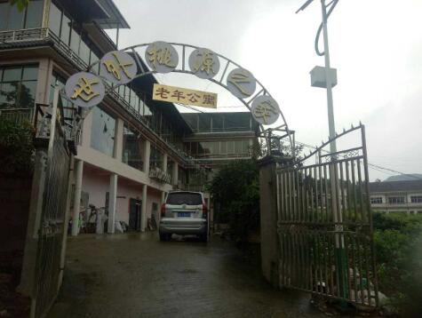 1512627289072045144.jpg 4.jpg