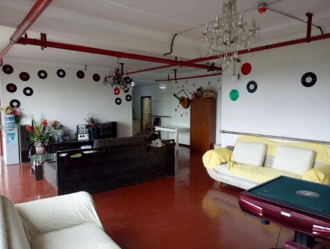 1512627297057015476.jpg 5.jpg