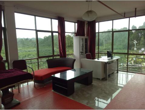 1512627305172093767.jpg 6.jpg