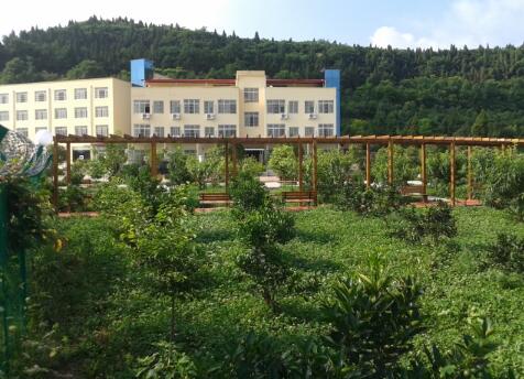 1512632179632055074.jpg 11.jpg