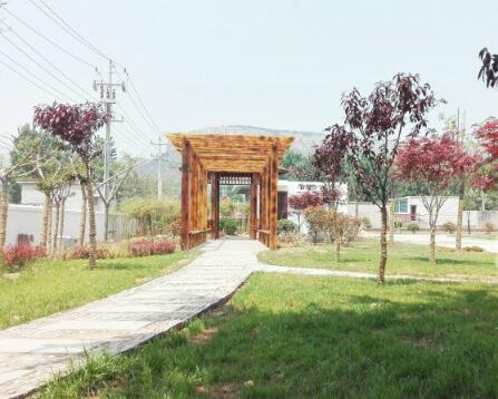 1512635944443081845.jpg 2.jpg