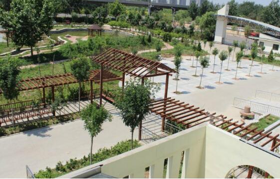 1512639114241085017.jpg 33.jpg