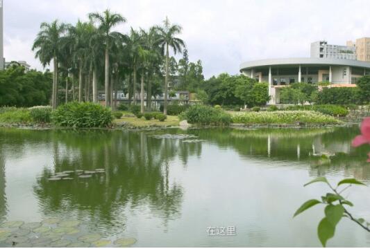 1512641381630072885.jpg 13.jpg