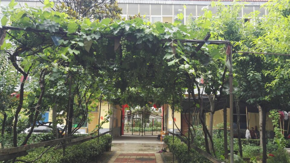 1512955992571083901.jpg 1512955992571083901.jpg