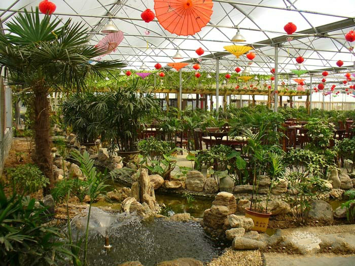 1513041655112037656.jpg 1513041655112037656.jpg