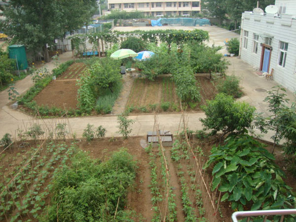 1515636372400075630.jpg 1515636372400075630.jpg